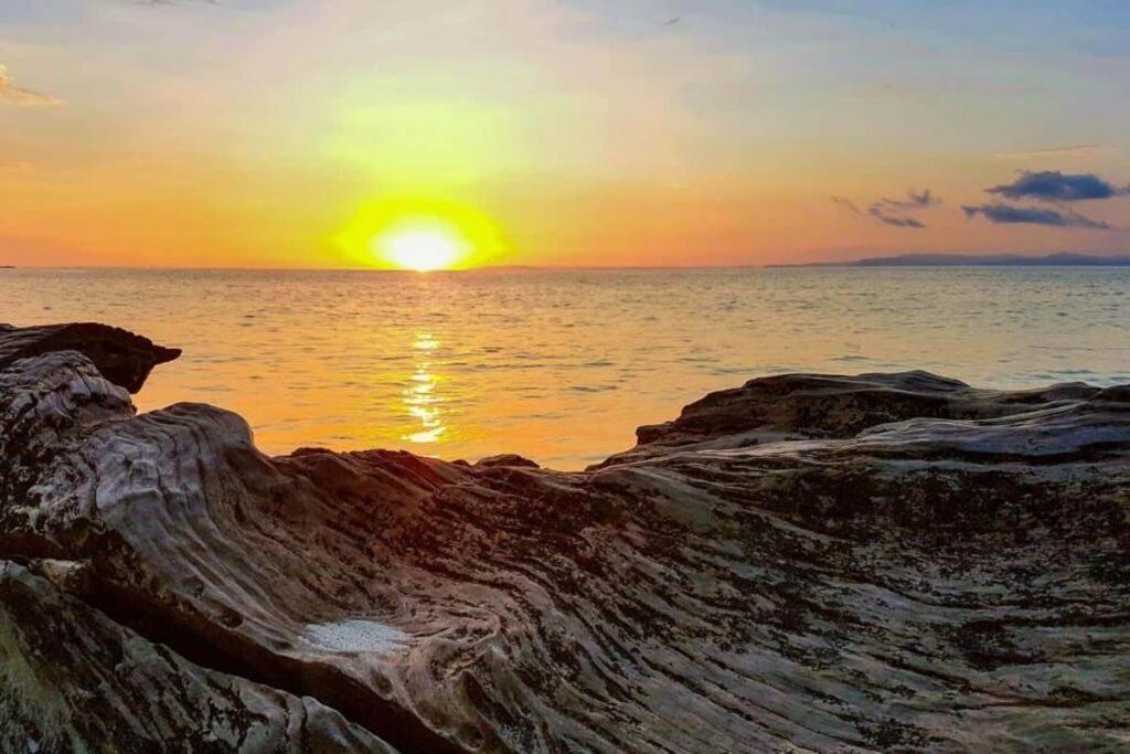Punta Leona Beach Condos 哈科 外观 照片